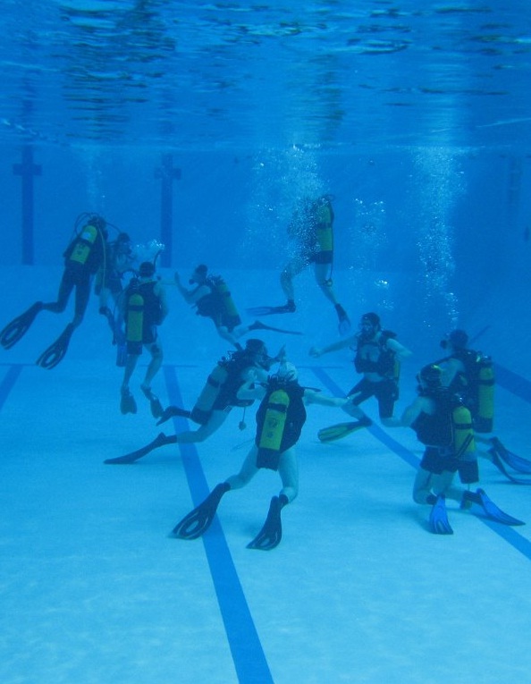 Piscine de Nanterre UPX, Entrainement Technique